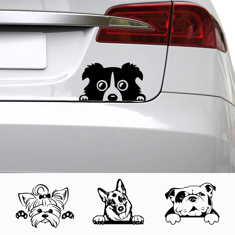 Laptop Accessories Name - Cars Accessorie Decals Funny Dog With