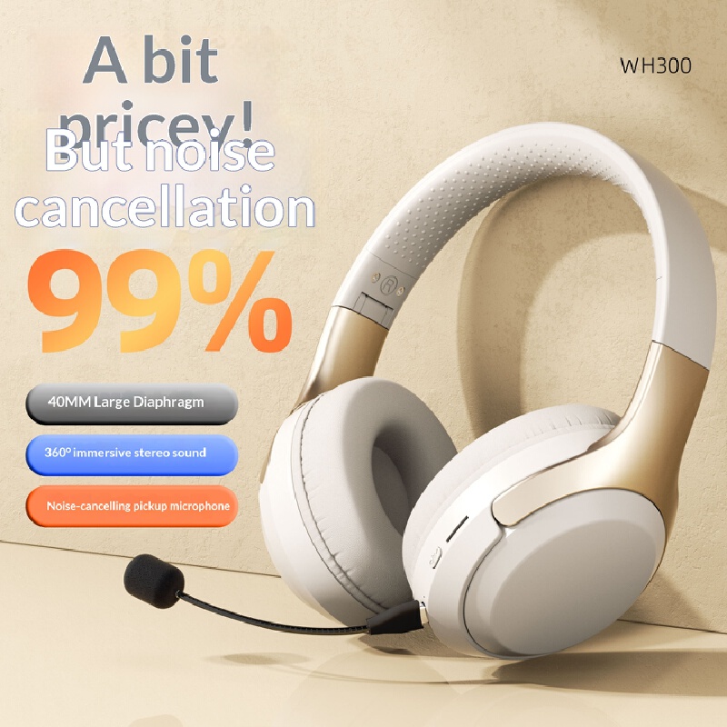Over Ear Wireless Bluetooth He - Laptop Accessories Officeworks 评论和价格